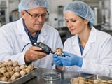 Stable Poppy Seed Market Holds Firm on Steady Food Demand