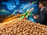 Chickpeas (Chana) Edge Higher as Indian Supply Tightens and Australian Output Slides