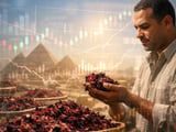 Egyptian Hibiscus FOB Cairo Inches Lower as Heatwave Meets Softer Demand
