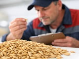 German Feed Oats Edge Higher But Stay Range-Bound Around €0.20/kg