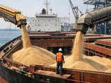 Indian Rice Prices Surge as Tight Pre‑Harvest Supplies Meet Strong Gulf Demand