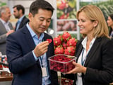 Vietnam Dried Red Dragon Fruit FOB Hanoi: Prices Steady as Exports Surge