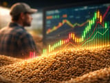 Barley Market Steadies as Futures Go Flat and Black Sea Prices Find a Floor