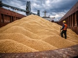 Ukrainian Soybeans Hold Steady as Global Futures Stay Compressed