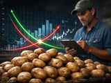 Brazil Potatoes: Stable Prices Hide Weather and Credit Risks
