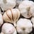 Garlic — fresh