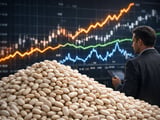 China White Kidney Beans: Stable New-Crop Outlook, Firm Quality Premiums