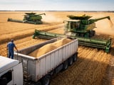 Kazakhstan Wheat Export Rally Tightens Central Asian Supply