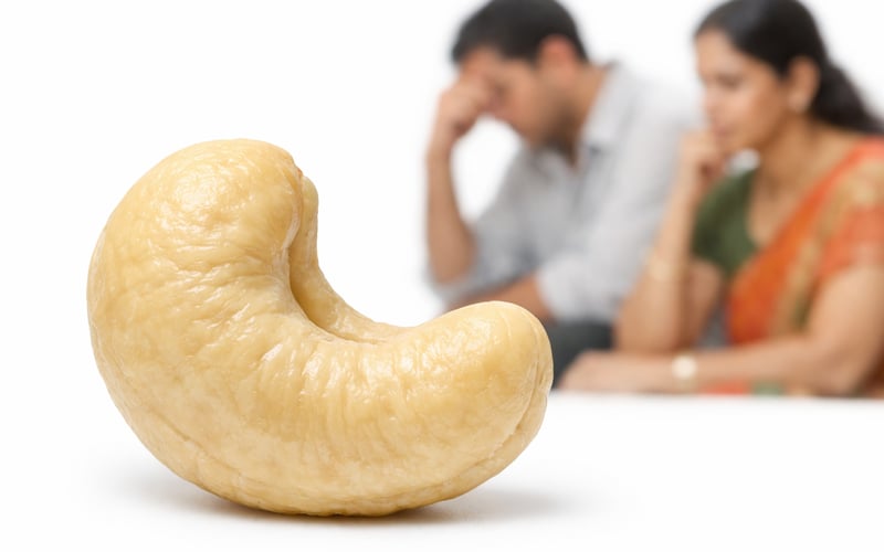 Cashew kernels under pressure as Indian demand stays cautious