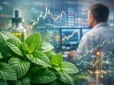 Egyptian Spearmint FOB Cairo Edges Lower Amid Stable Weather and Firm Demand