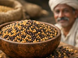 Indian Mustard Seed Prices Stay Firm on Tight Arrivals and Steady Demand