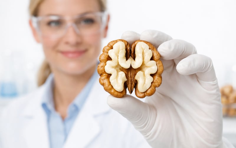 Walnuts: Shipment Surge Tightens Old-Crop as Cooler Weather Supports New Harvest