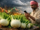 Indian Fennel Prices Hold Steady as Monsoon Builds Over Key Growing Belt