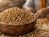 Coriander exports slip as high Indian prices squeeze demand