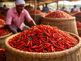Indian Chilli Market: Weather Stress Offsets Weak Export Demand