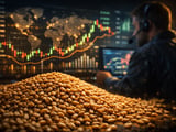 Wheat Prices Edge Higher as Black Sea Risks Persist and Saudi Tender Fails