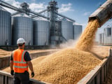 German Feed Oats Hold Firm Near €0.21/kg as Weather Risk Fades