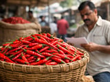 China’s Chilli Residue Crackdown Puts Indian Exporters on the Defensive