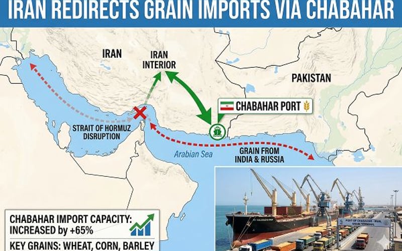 Wheat Market Braces for Iran Logistics Shock as Chabahar Disrupts Trade Flows