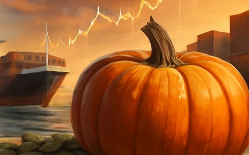 Semillas de calabaza en China: firmeza en FOB y clima benigno a corto plazo