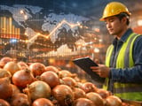 Chinese Onion Exports Shift Into High Gear as North China Takes Over Supply