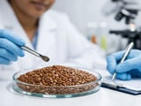 Indian Flaxseed Flat as Heat, Firm Mandi Rates Support Prices