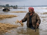 Euphrates River Floods Devastate Eastern Syria’s Wheat Belt, Raising New Questions for Regional Grain Supply