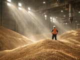 Jordan’s New Barley Tender Signals Firm Import Demand into 2026/27