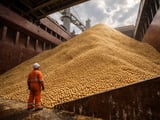 Soybeans Lose Weather Premium as Oil-Led Vegoil Rally Gains Traction