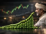 Pigeon Peas: Indian Market Splits but Bias Turns Cautiously Bullish