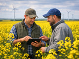 Ukrainian Rapeseed Gains Ground as EU Futures Ease from Highs