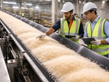 Festive Demand Lifts Indian Sugar While New Cane Crop Looms