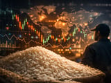 Rice Market Holds Firm as Strong Indian Output Offsets Monsoon Risks