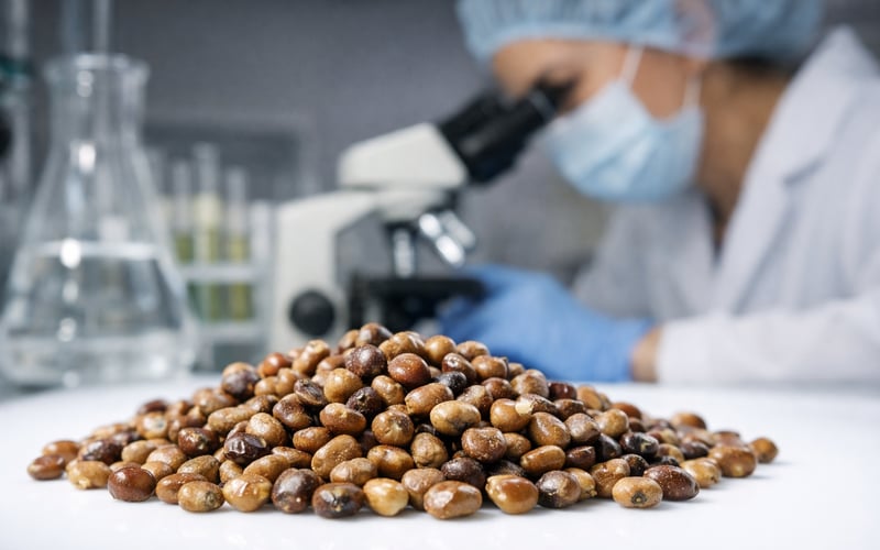 Guar Seed & Gum Flat as Monsoon Risks Meet Steady Export Demand