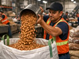 Almonds Find a Sweet Spot in Mexico’s Evolving Bakery Boom