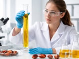 Palm Oil Exports Surge in October, Lending Prices Tactical Support
