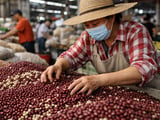 China Red Adzuki Beans: Stable Prices Under Demand Headwinds