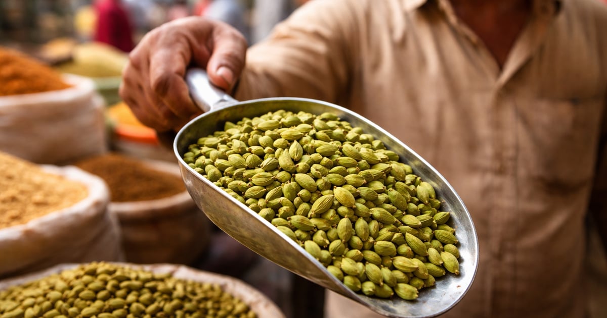 Cardamom Market Update: Strong Exports, Firm Prices, New-Crop Pressure ...