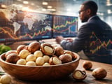 Kenyan Organic Macadamias Edge Higher Amid Global Oversupply Pressure
