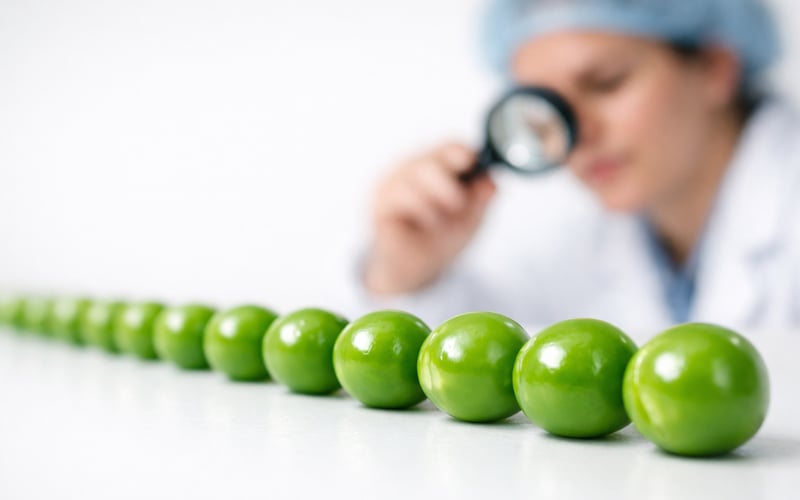 Pea Market Softens as Export Competition Rises and Buyers Gain Leverage