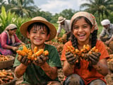 Turmeric Market Steady as Monsoon-Sowing Outlook Caps Upside