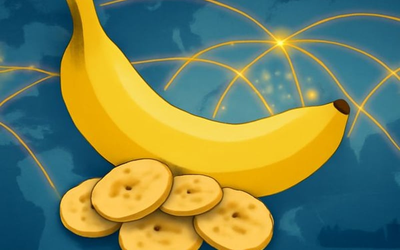 Los Chips de Plátano se Mantienen Firmes a Medida que la Reanudación de las Exportaciones de PH Enfrenta Fuerte Competencia de VN