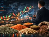 ارتفاع طفيف في أسعار العدس الصينية تسليم FOB مع بقاء المعروض الكندي مريحًا