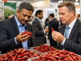 Indische Chilipreise ziehen bei knapperen Ankünften und schwächerer Exportnachfrage leicht an