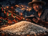 Arroz Tailandês sob Pressão com Fluxos de Exportação em Queda e Riscos Climáticos em Alta