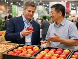 Chinese Dried Apple Prices Hold Firm in Europe as Weather Turns Hot at Home