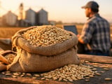 Oat Futures Ease as Nearby Contracts Consolidate After Short-Covering Rally