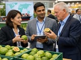 Vietnam Dried Guava FOB Edges Higher Amid Hot Weather and Firm Fruit Demand