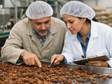 Syrian Anise Seeds Hold Steady as Freight Stays Elevated