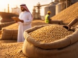 Saudi Arabia Replaces China as EU’s Key Barley Buyer While Prices Soften